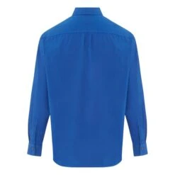 Hartford Charlot Shirt | Royal Blue -American Vintage Shop unnamed file 1105