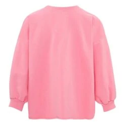 Fond Sweatshirt | Candy Pink -American Vintage Shop unnamed file 121