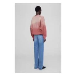 ANINE BING Sweat Jaci University Paris | Terracotta -American Vintage Shop unnamed file 433